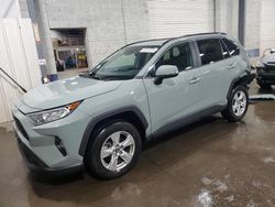 Salvage cars for sale at Ham Lake, MN auction: 2020 Toyota Rav4 XLE