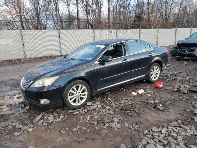 2011 Lexus ES 350