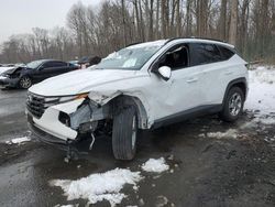 Hyundai Tucson salvage cars for sale: 2024 Hyundai Tucson SEL