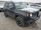 2017 Jeep Renegade Trailhawk