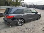 2024 Honda Odyssey EXL