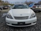 2004 Lexus ES 330