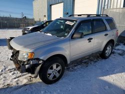 Carros salvage sin ofertas aún a la venta en subasta: 2012 Ford Escape XLT