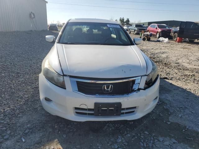 2010 Honda Accord EXL