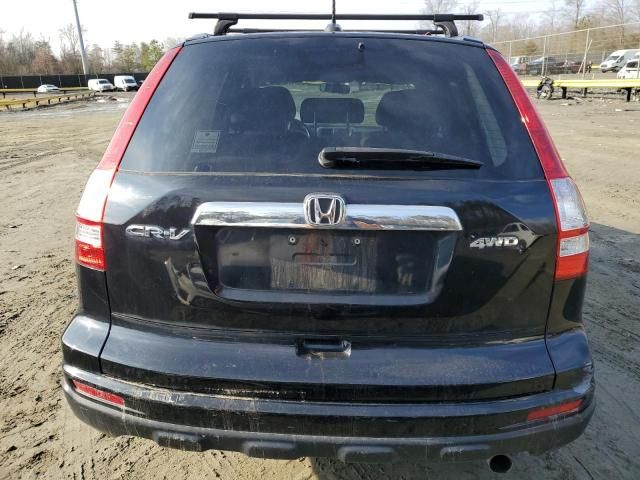 2010 Honda CR-V EXL