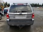 2008 Ford Escape HEV