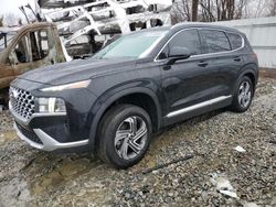 Hyundai Vehiculos salvage en venta: 2021 Hyundai Santa FE SEL