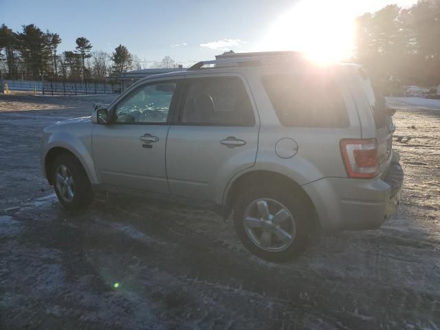 2010 Ford Escape Limited