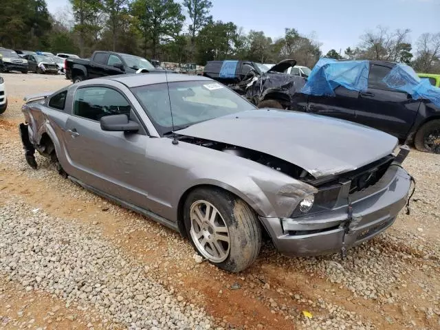 2006 Ford Mustang