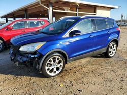 Ford salvage cars for sale: 2016 Ford Escape Titanium