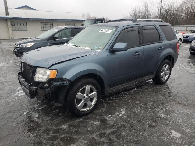 2011 Ford Escape Limited