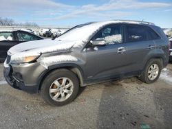 Salvage cars for sale at Earlington, KY auction: 2011 KIA Sorento Base