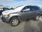 2011 KIA Sorento Base