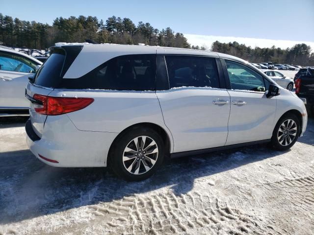 2024 Honda Odyssey EXL