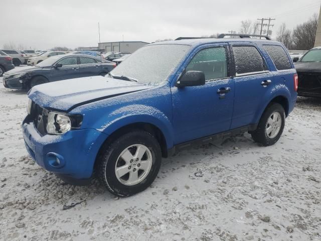 2011 Ford Escape XLT