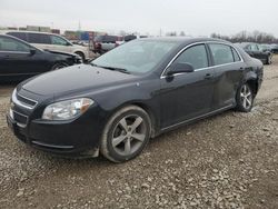 Salvage cars for sale at Columbus, OH auction: 2011 Chevrolet Malibu 1LT