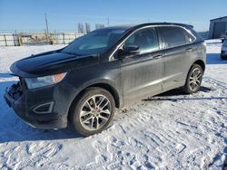 Vehiculos salvage en venta de Copart Airway Heights, WA: 2017 Ford Edge Titanium