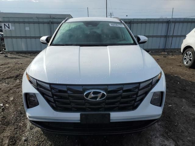 2022 Hyundai Tucson Blue