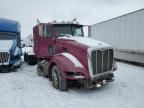 2009 Peterbilt 386