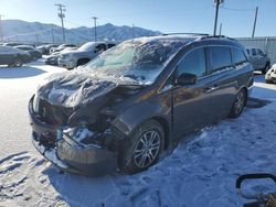 Honda Odyssey exl Vehiculos salvage en venta: 2013 Honda Odyssey EXL