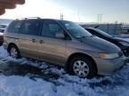 2004 Honda Odyssey EX