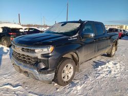 Salvage cars for sale from Copart Anchorage, AK: 2024 Chevrolet Silverado K1500 LT