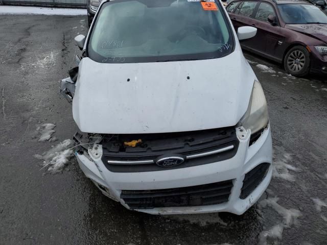 2013 Ford Escape SE