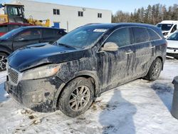 Salvage cars for sale at Cookstown, ON auction: 2017 KIA Sorento SX