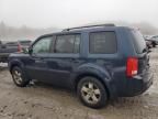 2011 Honda Pilot EX