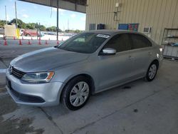 Salvage cars for sale at Homestead, FL auction: 2013 Volkswagen Jetta SE