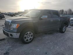 Vehiculos salvage en venta de Copart Wayland, MI: 2010 Ford F150 Supercrew