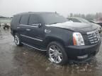 2008 Cadillac Escalade Luxury