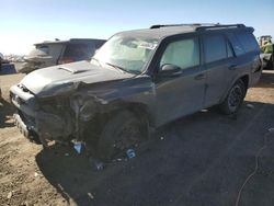 Salvage cars for sale at Brighton, CO auction: 2024 Toyota 4runner SR5 Premium