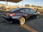 2019 Lexus ES 300H