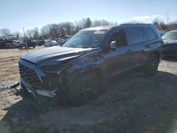 Salvage cars for sale at Chalfont, PA auction: 2024 Toyota Sequoia SR5