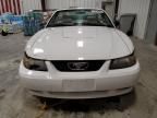 2003 Ford Mustang