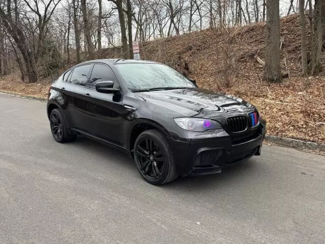 2011 BMW X6 M