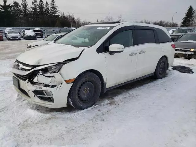 2019 Honda Odyssey EXL