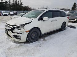 Vehiculos salvage en venta de Copart Ontario Auction, ON: 2019 Honda Odyssey EXL