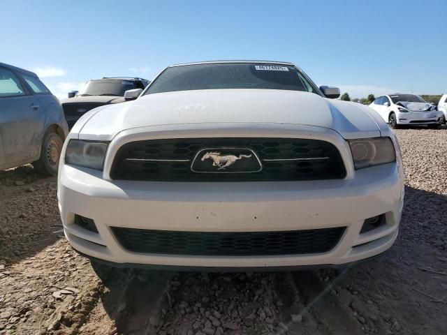 2013 Ford Mustang