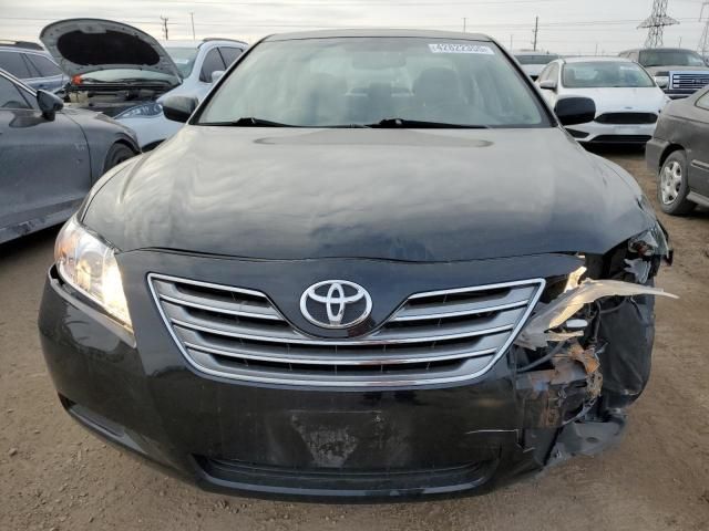 2009 Toyota Camry Hybrid