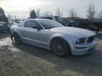 2005 Ford Mustang GT