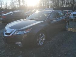 2009 Acura TL en venta en Waldorf, MD