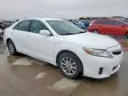 2010 Toyota Camry Hybrid