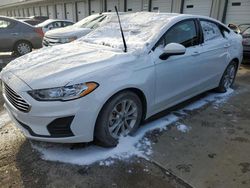 Salvage cars for sale at Louisville, KY auction: 2020 Ford Fusion SE