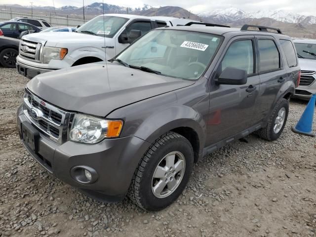 2012 Ford Escape XLT