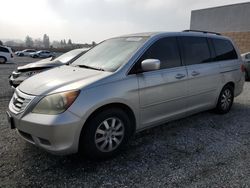 Honda salvage cars for sale: 2008 Honda Odyssey EXL