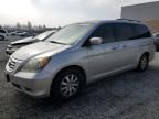 2008 Honda Odyssey EXL