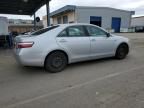 2007 Toyota Camry Hybrid