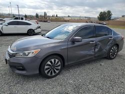 Salvage cars for sale at Mentone, CA auction: 2017 Honda Accord Hybrid